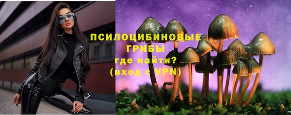 стаф Новокубанск
