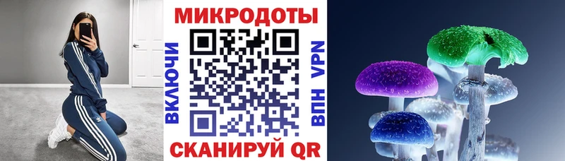 Галлюциногенные грибы Psilocybine cubensis  Облучье 