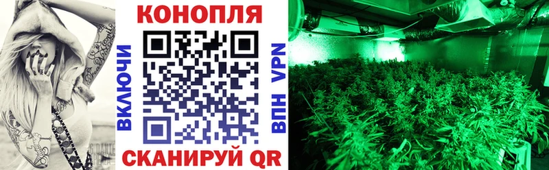 kraken рабочий сайт  Облучье  Канабис марихуана 